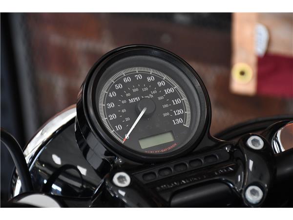 2013 HARLEY-DAVIDSON SPORTSTER XL1200X FORTY-EIGHT