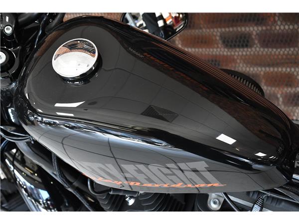 2013 HARLEY-DAVIDSON SPORTSTER XL1200X FORTY-EIGHT