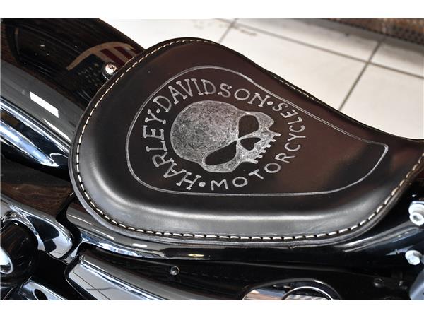 2013 HARLEY-DAVIDSON SPORTSTER XL1200X FORTY-EIGHT