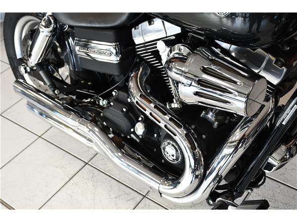 2009 HARLEY-DAVIDSON DYNA FXDF FAT BOB