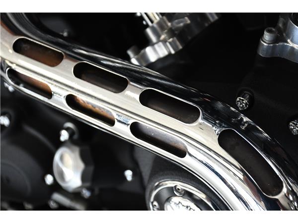 2009 HARLEY-DAVIDSON DYNA FXDF FAT BOB