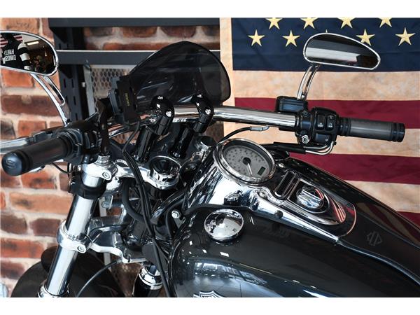 2009 HARLEY-DAVIDSON DYNA FXDF FAT BOB