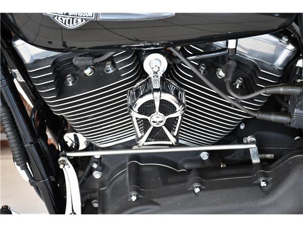 2009 HARLEY-DAVIDSON DYNA FXDF FAT BOB