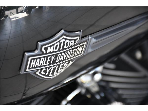 2009 HARLEY-DAVIDSON DYNA FXDF FAT BOB