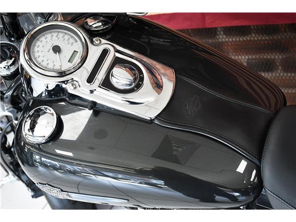 2009 HARLEY-DAVIDSON DYNA FXDF FAT BOB