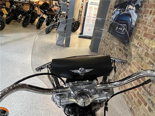 2020 Harley-Davidson Softail