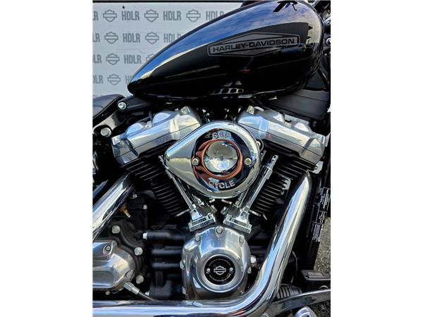 2021 HARLEY-DAVIDSON STANDARD