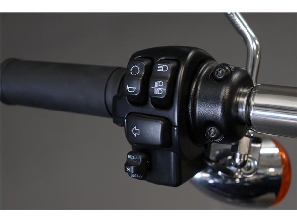 2024 HARLEY-DAVIDSON BREAKOUT 117 