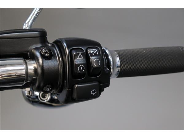 2023 HARLEY-DAVIDSON SOFTAIL FLFBS FAT BOY 114