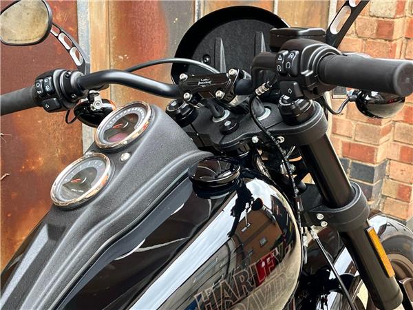 2021 Harley-Davidson Softail