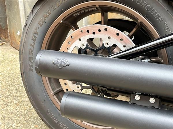 2021 Harley-Davidson Softail