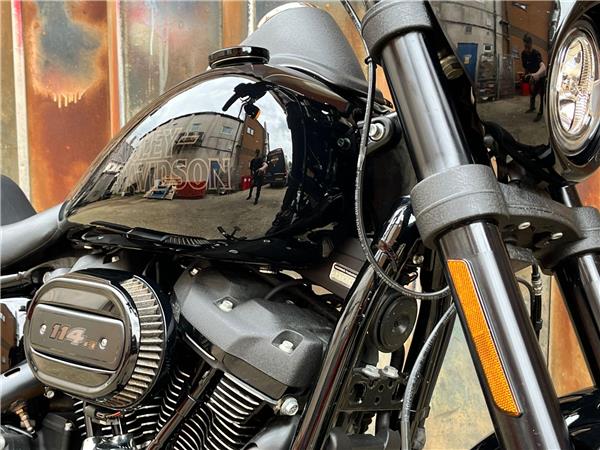 2021 Harley-Davidson Softail