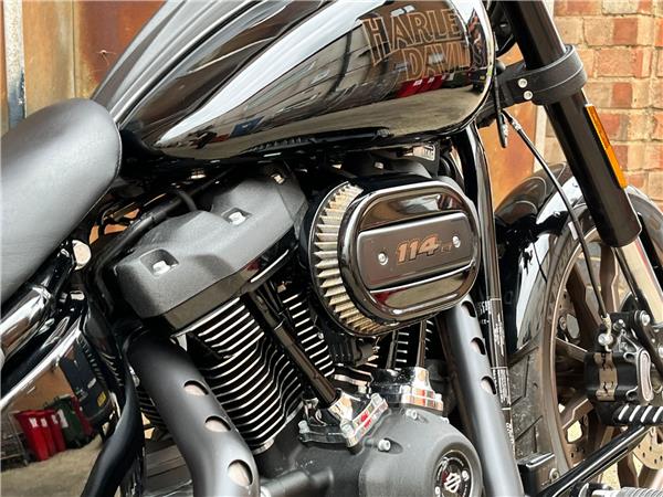 2021 Harley-Davidson Softail