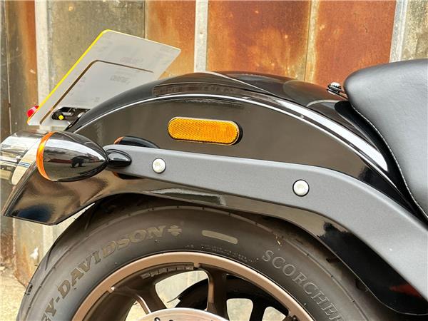 2021 Harley-Davidson Softail