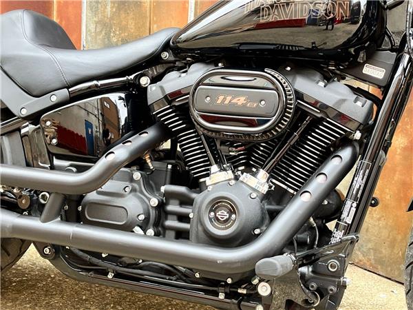 2021 Harley-Davidson Softail