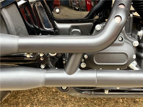 2021 Harley-Davidson Softail