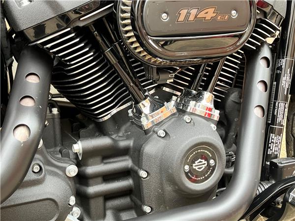 2021 Harley-Davidson Softail