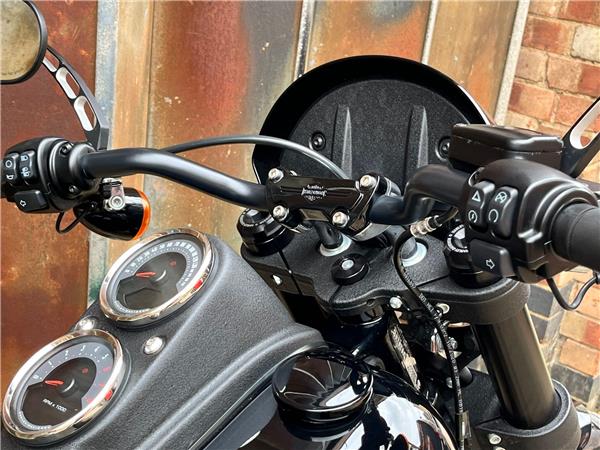 2021 Harley-Davidson Softail