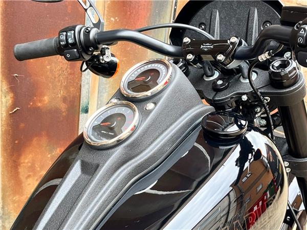 2021 Harley-Davidson Softail