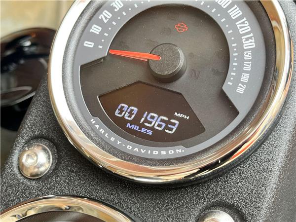 2021 Harley-Davidson Softail