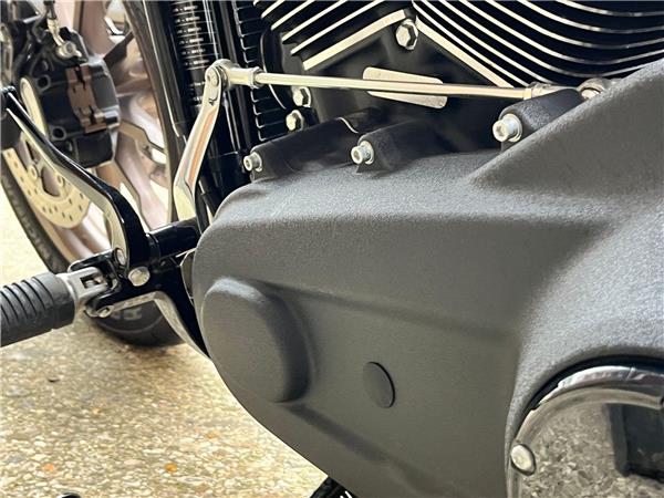 2021 Harley-Davidson Softail