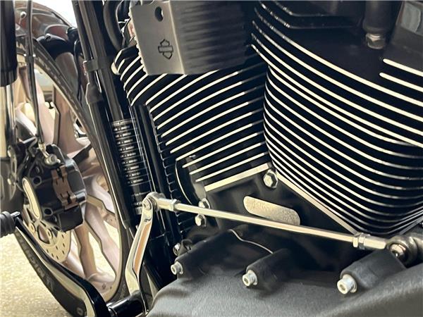 2021 Harley-Davidson Softail