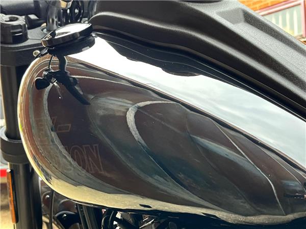 2021 Harley-Davidson Softail