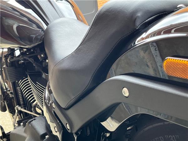 2021 Harley-Davidson Softail