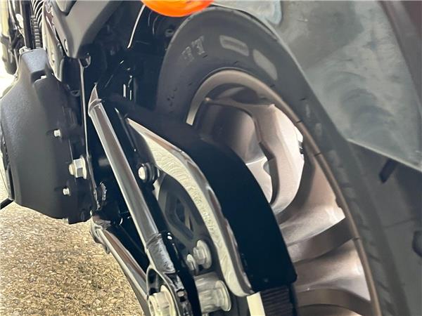 2021 Harley-Davidson Softail