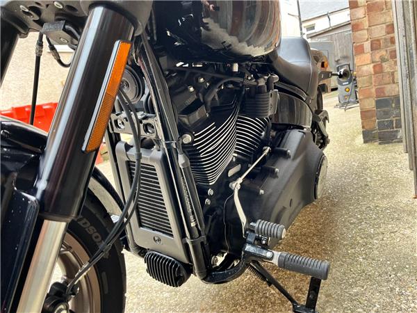 2021 Harley-Davidson Softail