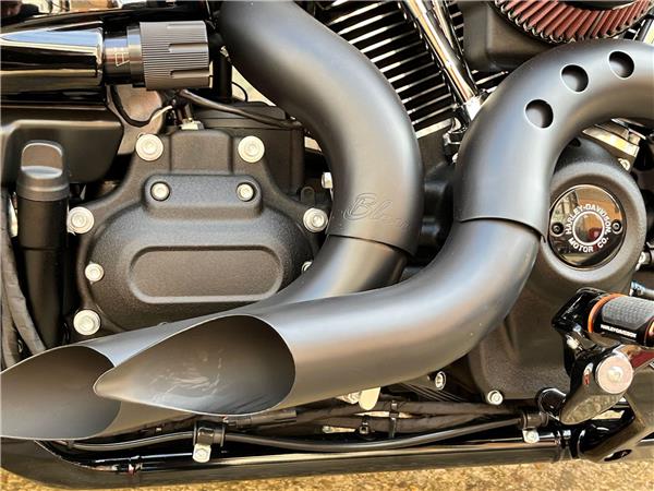 2023 Harley-Davidson Softail