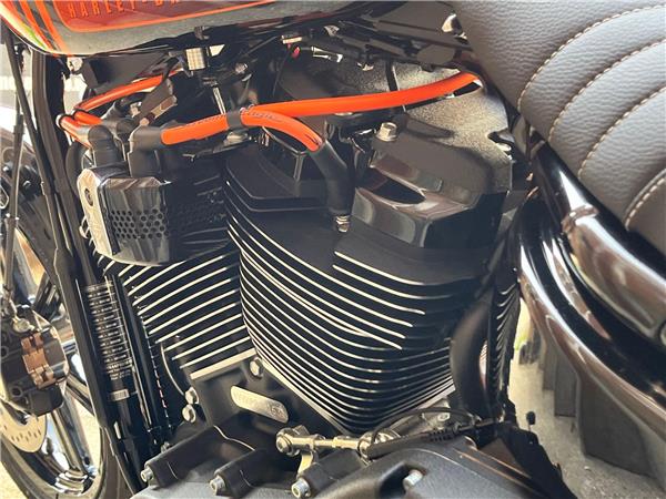 2023 Harley-Davidson Softail