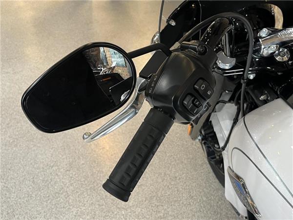 2025 Harley-Davidson Softail