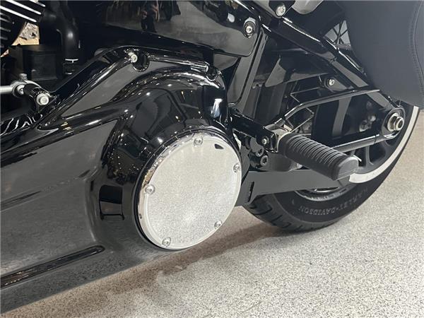 2025 Harley-Davidson Softail