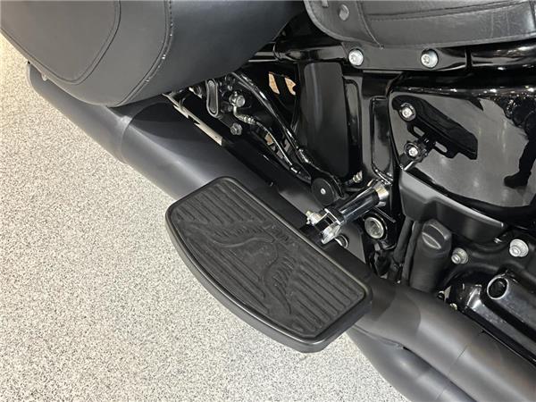 2020 Harley-Davidson Softail