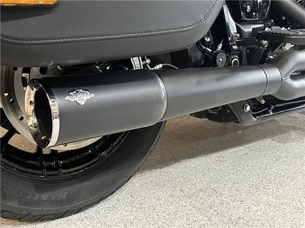 2020 Harley-Davidson Softail