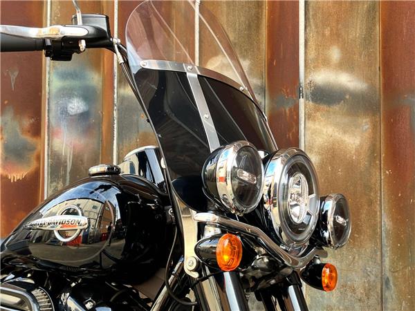 2019 Harley-Davidson Softail