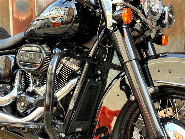2019 Harley-Davidson Softail