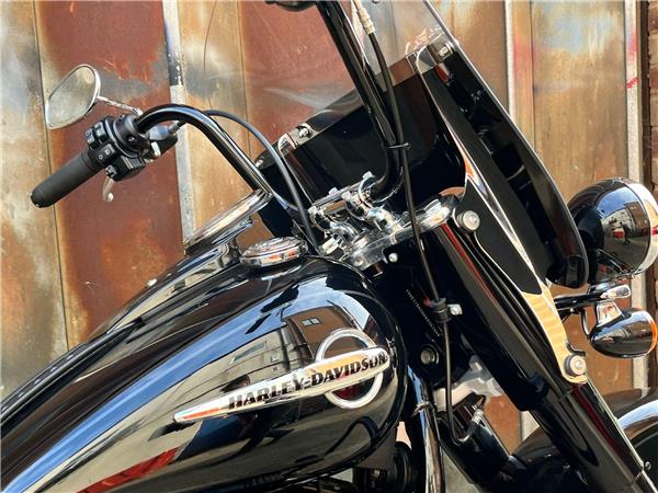 2019 Harley-Davidson Softail