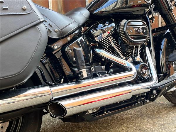 2019 Harley-Davidson Softail