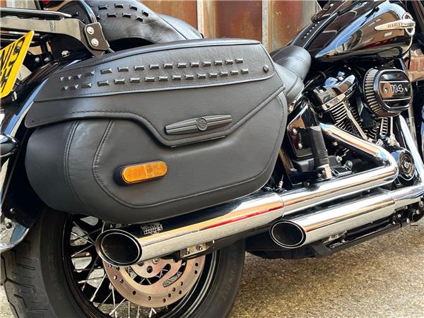 2019 Harley-Davidson Softail