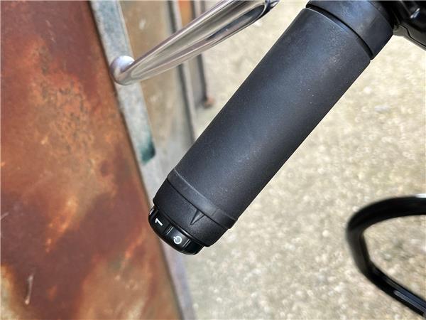 2019 Harley-Davidson Softail