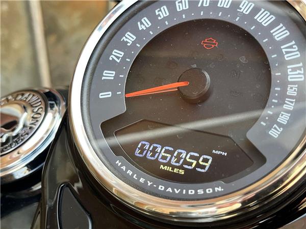 2019 Harley-Davidson Softail