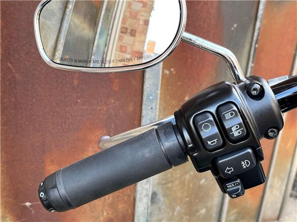 2019 Harley-Davidson Softail