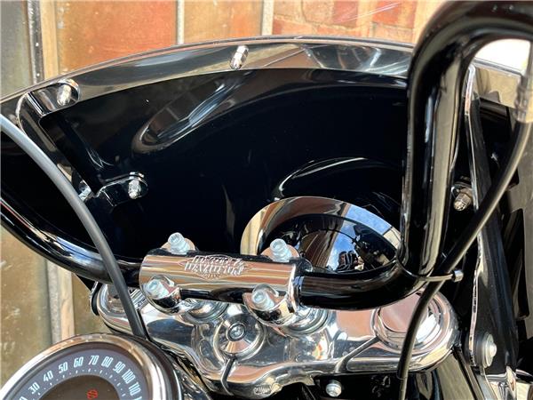 2019 Harley-Davidson Softail