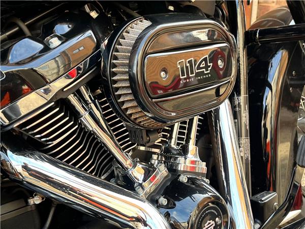 2019 Harley-Davidson Softail