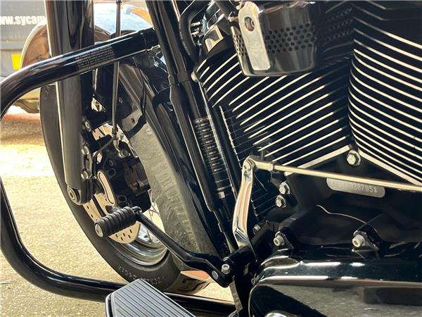 2019 Harley-Davidson Softail