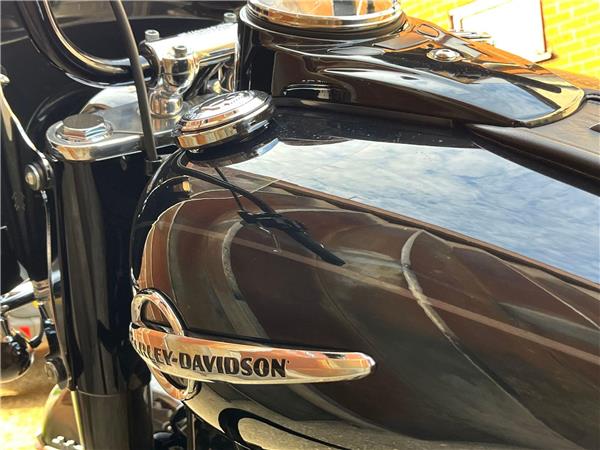 2019 Harley-Davidson Softail