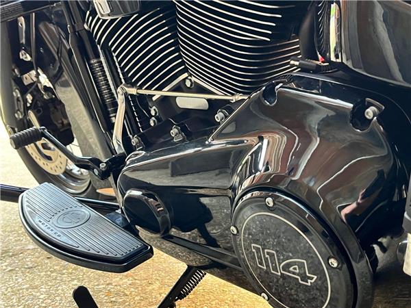 2019 Harley-Davidson Softail