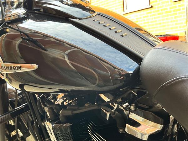 2019 Harley-Davidson Softail